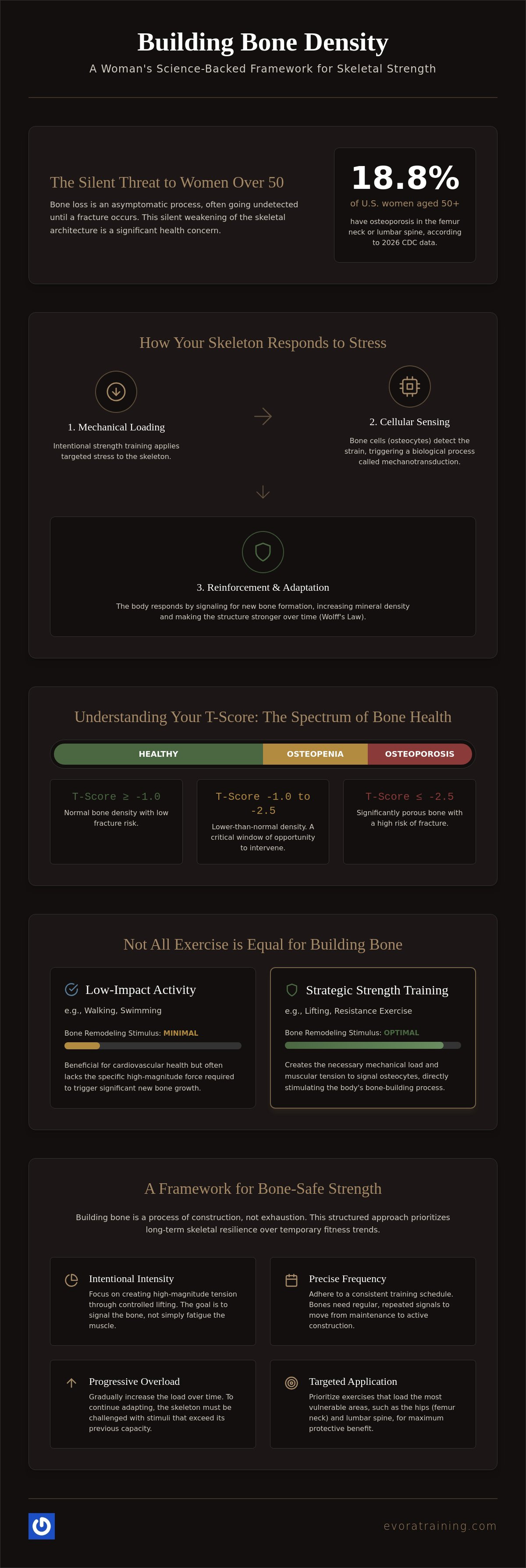 The Architecture of Longevity: Strength Training for Bone Density in Women
